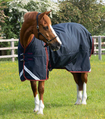 Description:Buster 150g Turnout Rug with Classic Neck Cover_Color:Navy_Position:3