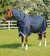 Description:Buster 70g Turnout Rug with Classic Neck Cover_Color:Navy_Position:1