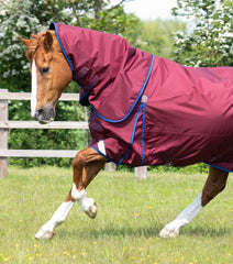 Description:Buster 40g Turnout Rug with Classic Neck Cover_Color:Burgundy_Position:2