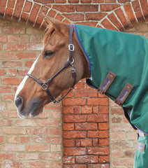 Description:Akoni Stratus 0 Turnout Rug with Classic Neck Cover_Color:Green_Position:2