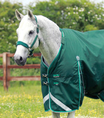 Description:Buster 200 Turnout Rug with Neck Cover_Color:Green_Position:2