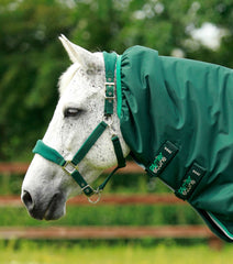Description:Buster 200 Turnout Rug with Neck Cover_Color:Green_Position:3