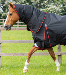 Description:Buster 250g Turnout Rug with Classic Neck Cover_Color:Black_Position:2