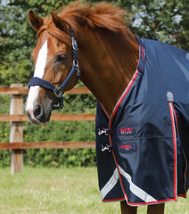 Description:Buster 50 Turnout Rug with Neck Cover_Color:Navy_Position:2