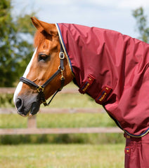 Description:Buster Zero 0g Turnout Rug with Classic Neck Cover_Color:Burgundy_Position:3