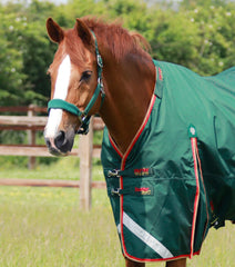 Description:Buster Zero 0g Turnout Rug with Classic Neck Cover_Color:Green_Position:2