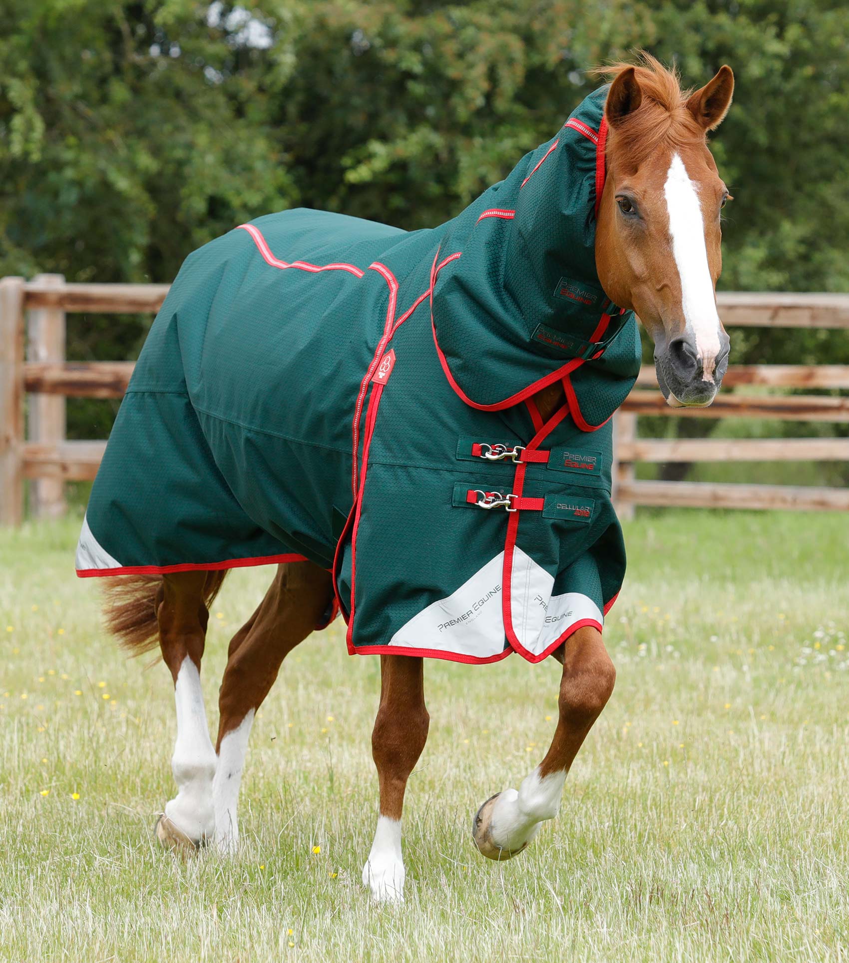Description:Cellular Zone 250 Turnout Rug with Neck Cover_Color:Green_Position:1
