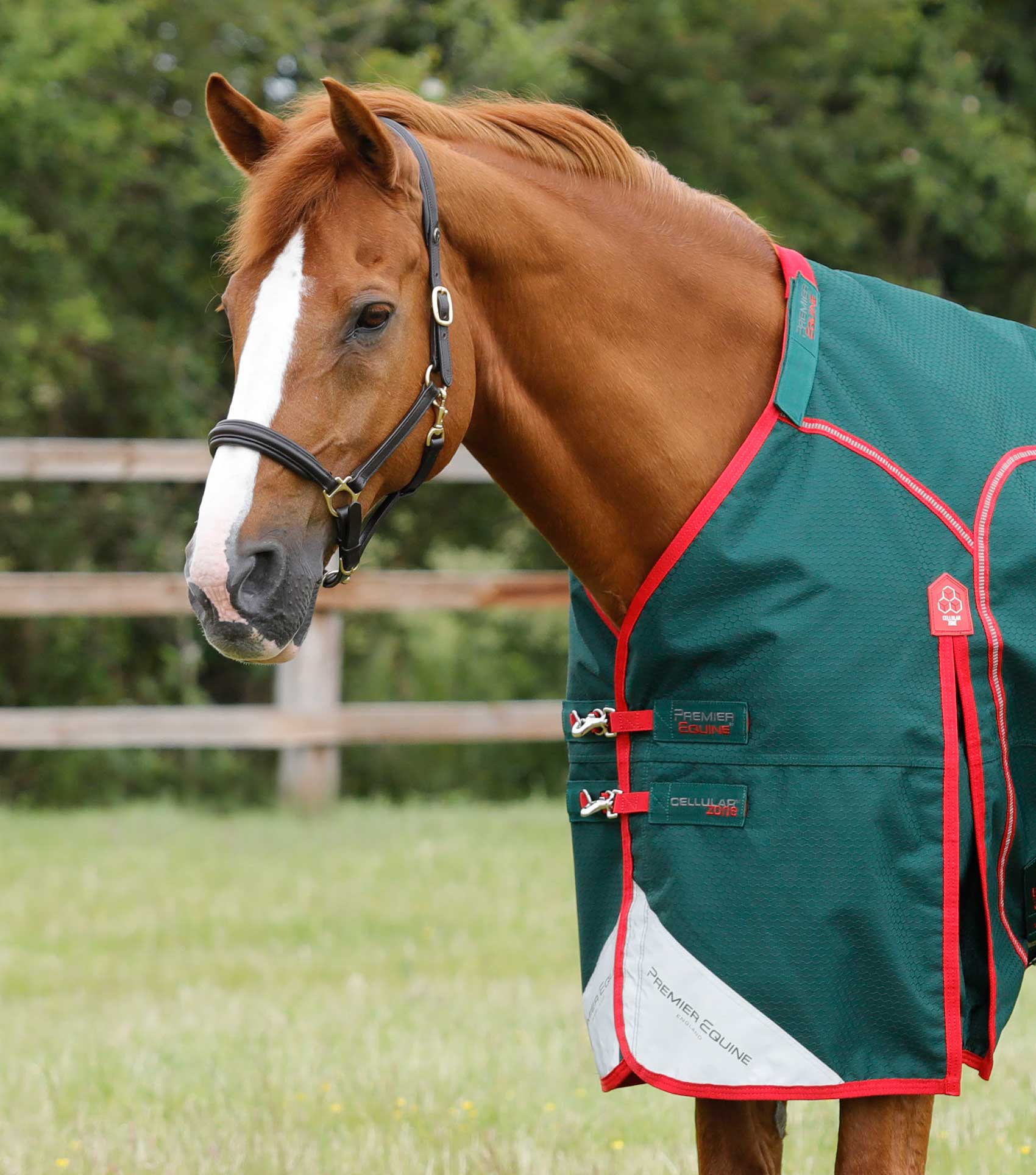 Cellular Zone 250g Turnout Rug with Neck Cover Horse By Horse