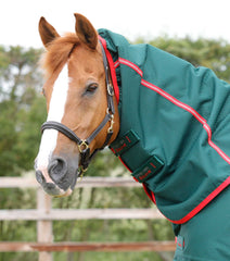 Description:Cellular Zone 250 Turnout Rug with Neck Cover_Color:Green_Position:3