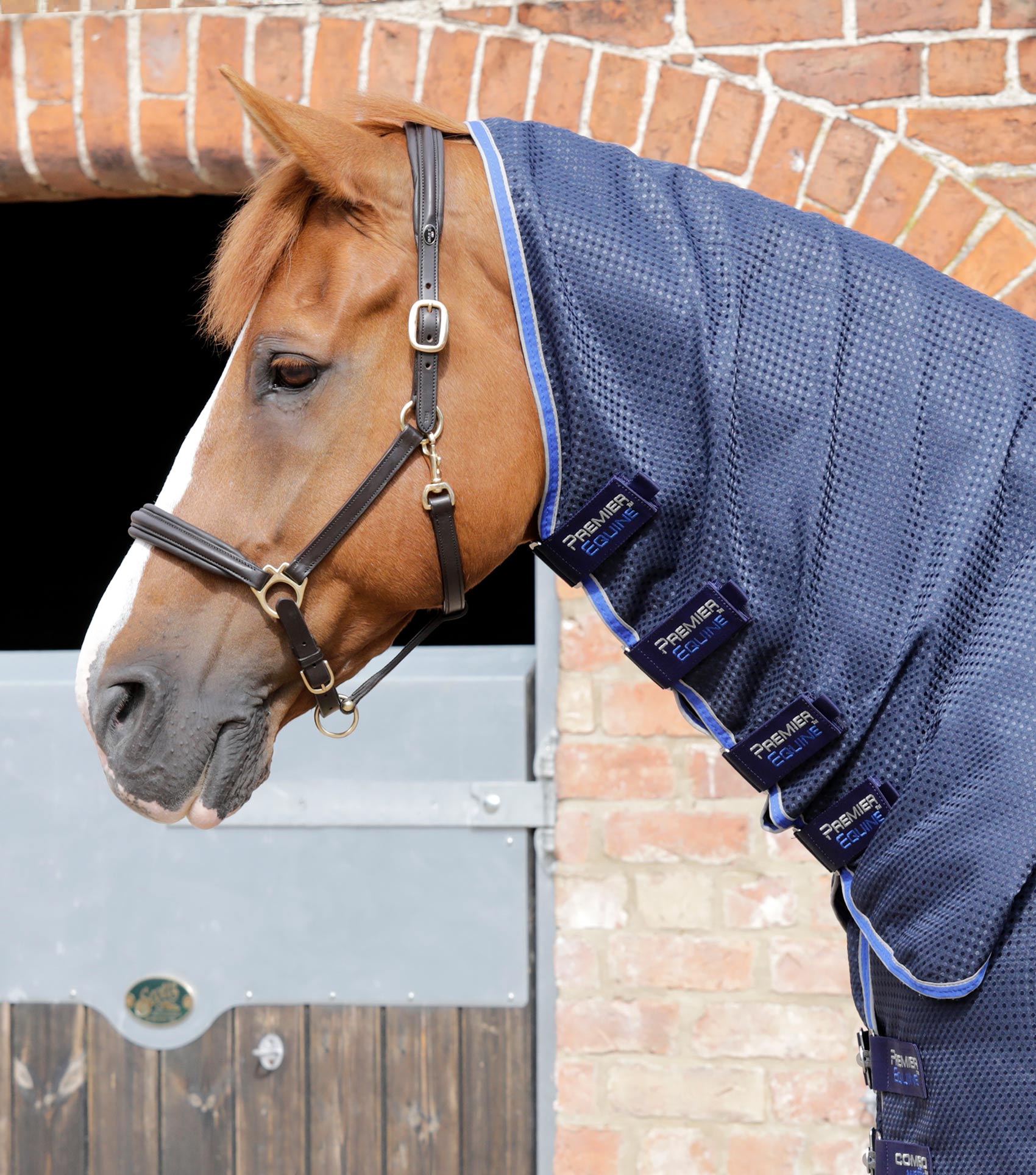Combo Buster Waffle Horse Cooler Rug Horse By Horse