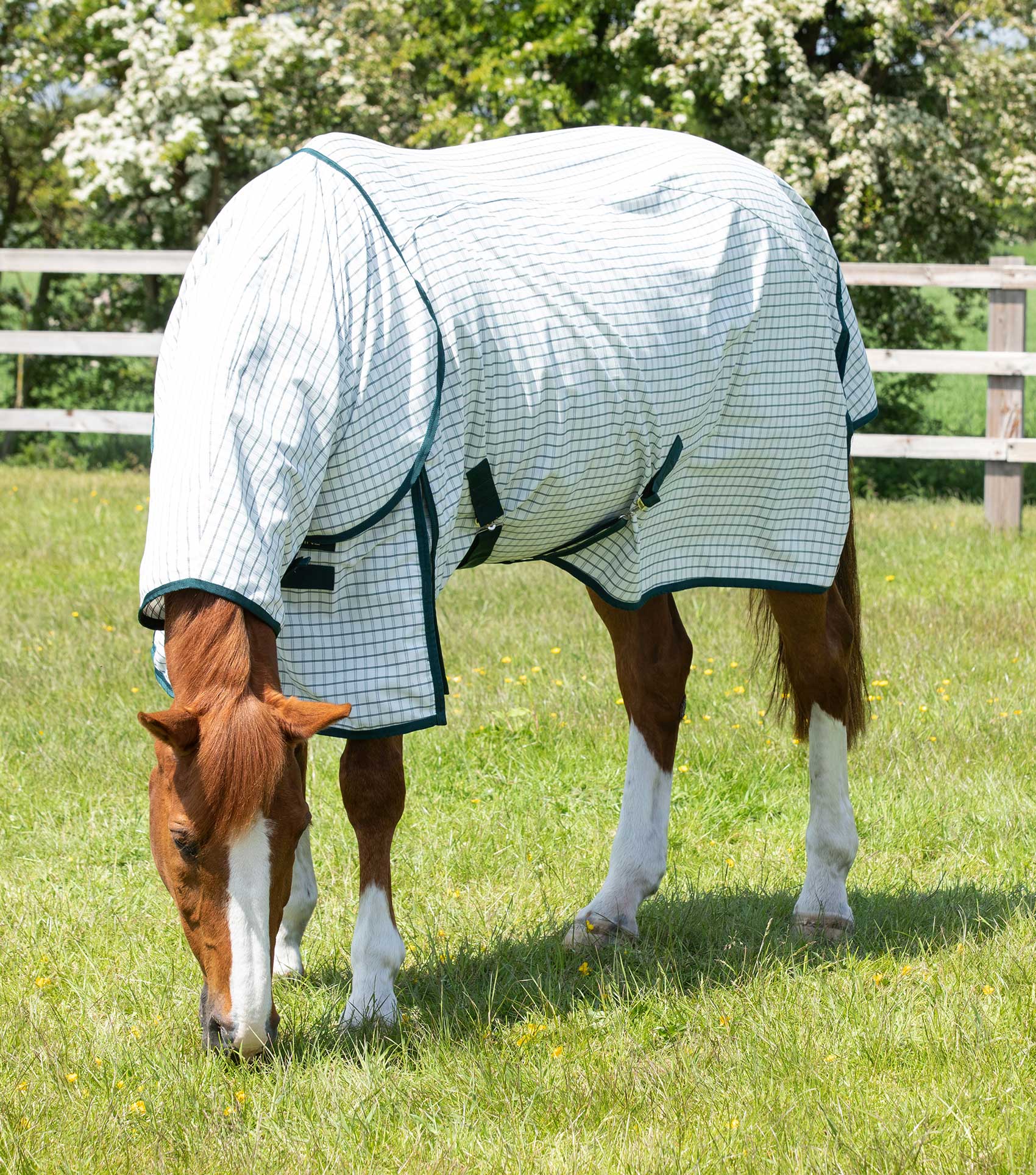 Combo Cotton Sheet Horse By Horse