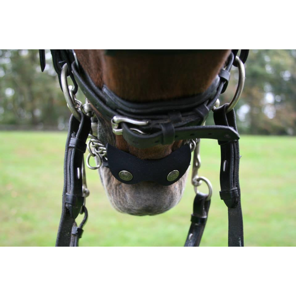 Uber-Reiter Washable Neoprene Curb Chain Cover