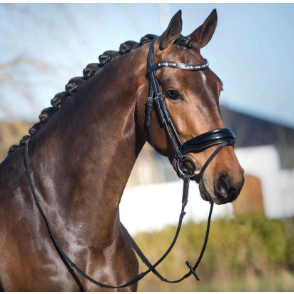 Bridle 2 Fit Custom Bridle
