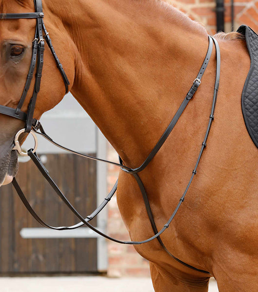 Description:Gressan Standing Martingale_Color:Black_Position:1