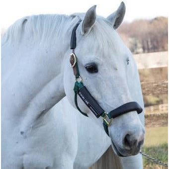 ThinLine Halter Cheek Liners