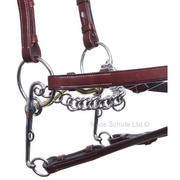 Neue Schule Slimma Swales Pelham
