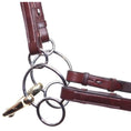Load image into Gallery viewer, Neue Schule Demi-Anky Universal
