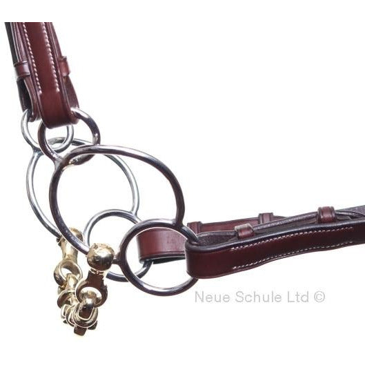 Neue Schule Waterford Universal