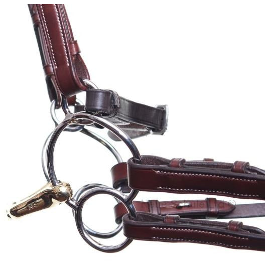 Neue Schule Verbindend Universal