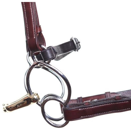 Neue Schule Verbindend Universal