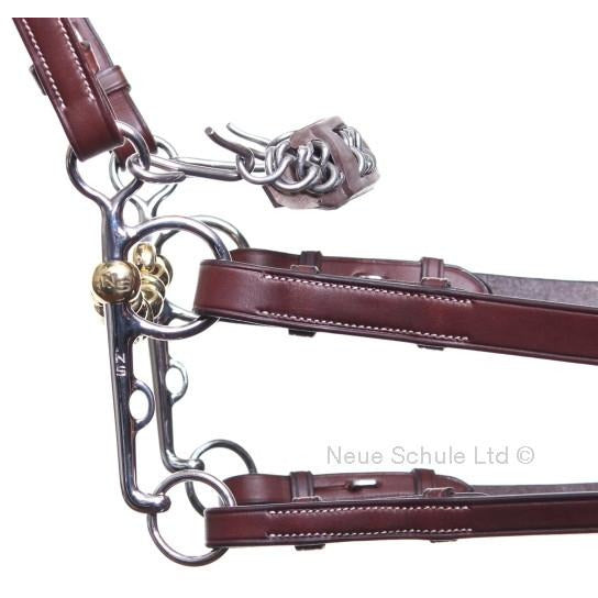 Neue Schule Waterford Pelham