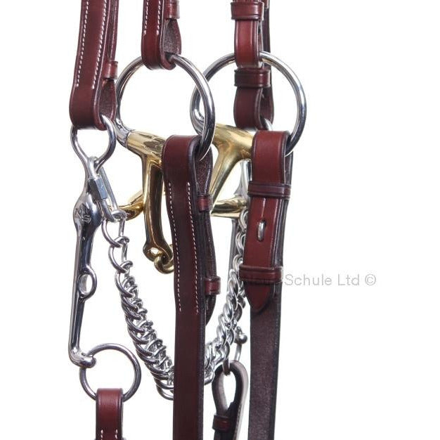 Neue Schule Dressage Warmblood Weymouth