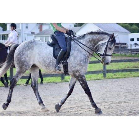 ThinLine Short Girth - Dressage & Monoflap