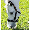 Load image into Gallery viewer, ThinLine Flexible Filly Slow Feed Grazing Muzzle
