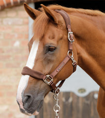 Description:Fleece Padded Horse Head Collar_Color:Brown