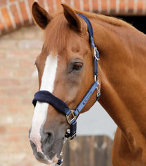 Description:Fleece Padded Horse Head Collar_Color:Navy