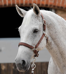 Description:Plain Padded Horse Head Collar_Color:Brown