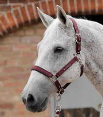 Description:Plain Padded Horse Head Collar_Color:Burgundy