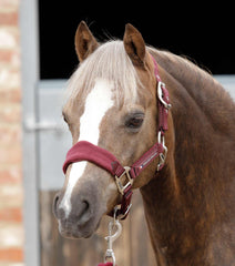 Description:Fleece Padded Pony Head Collar_Color:Burgundy