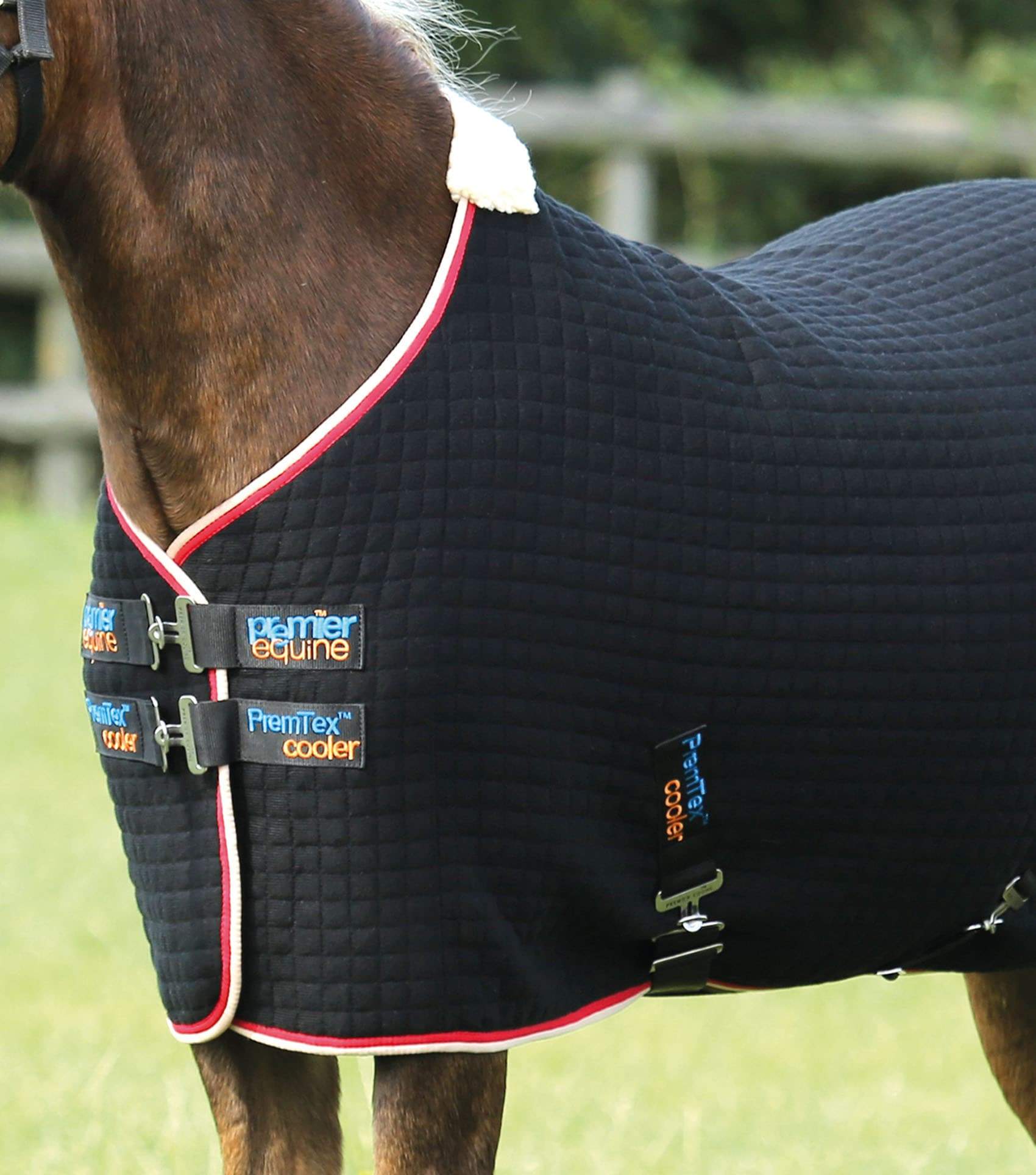 PremTex Pony Cooler Rug Horse By Horse