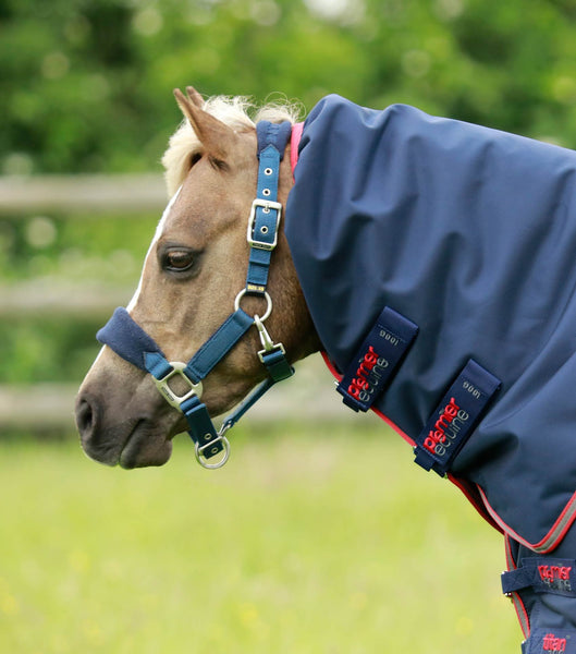 Description:Pony Titan 100 Turnout Rug Neck Cover (100g Fill)_Position:1