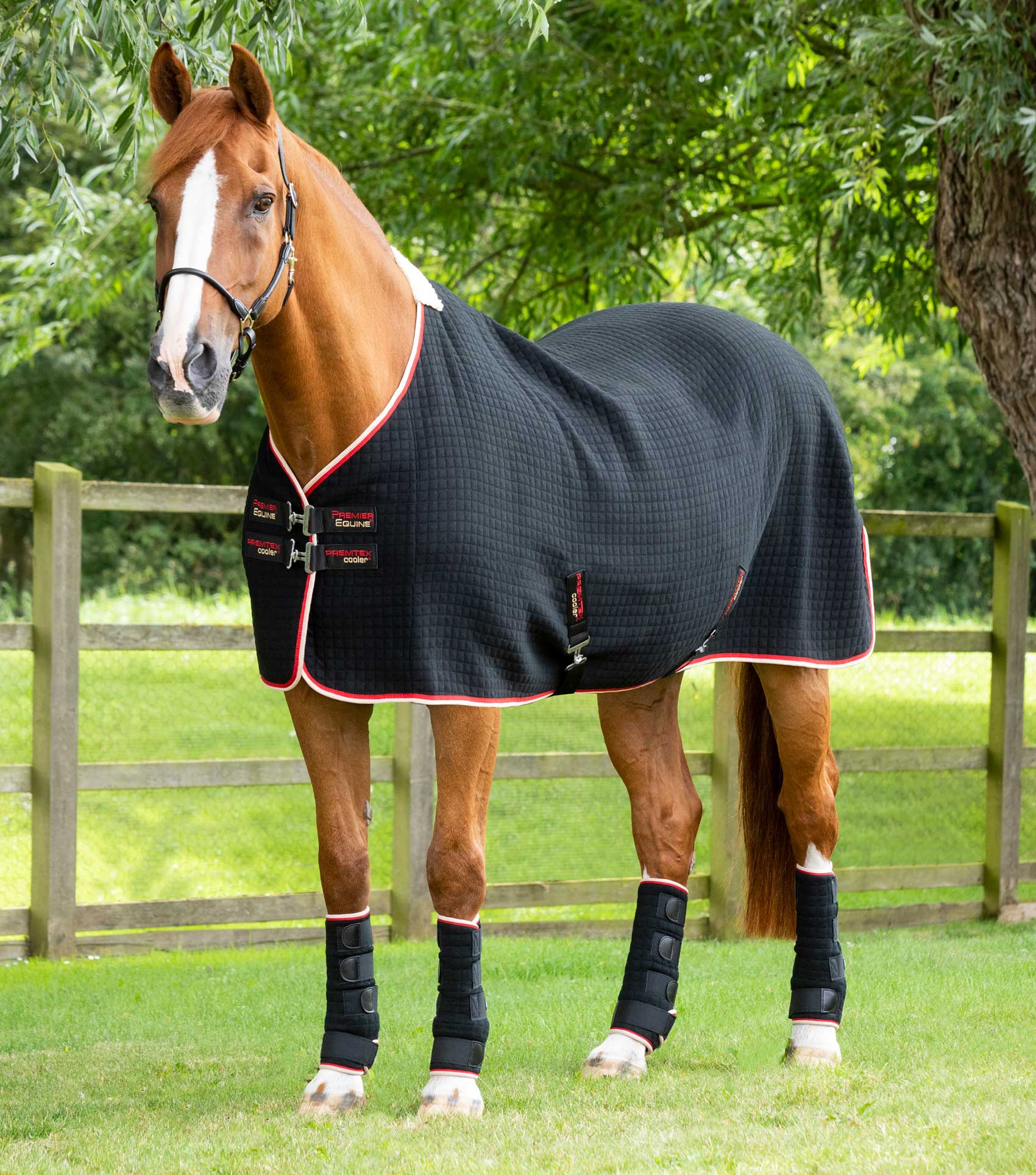 Description:PremTex Horse Cooler Rug_Color:Black_Position:1