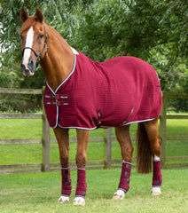 Description:PremTex Horse Cooler Rug_Color:Burgundy_Position:1