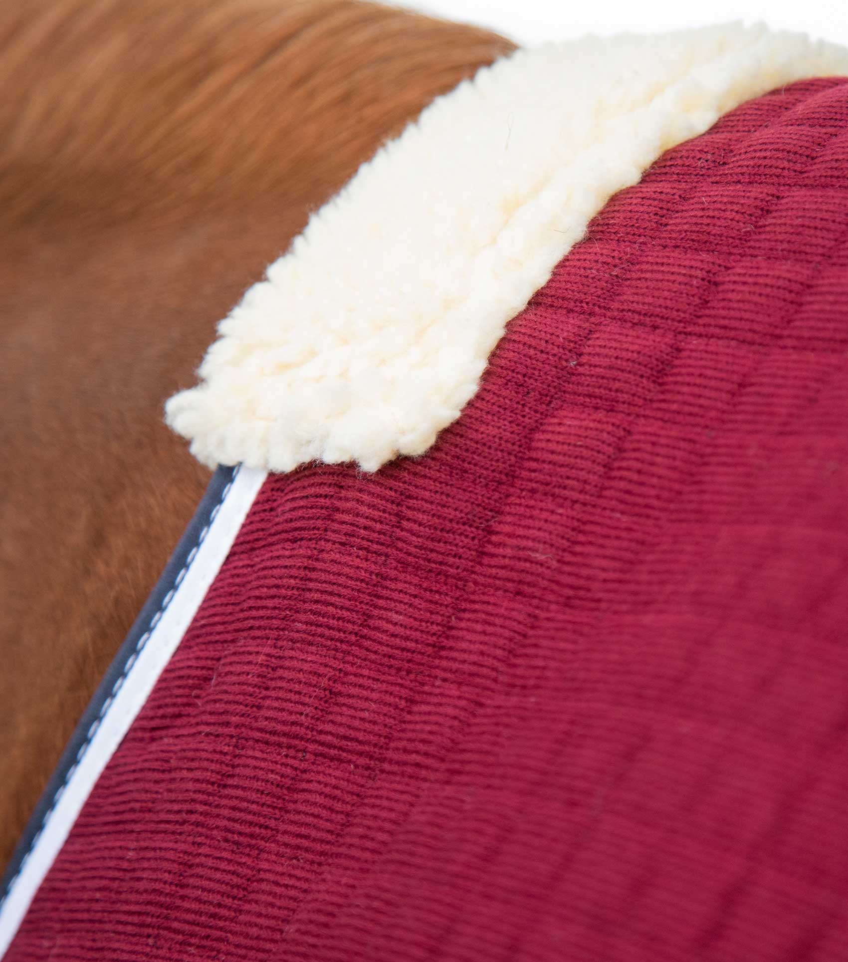 Description:PremTex Horse Cooler Rug_Color:Burgundy_Position:2