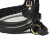 Bridle2Fit Custom Noseband S5