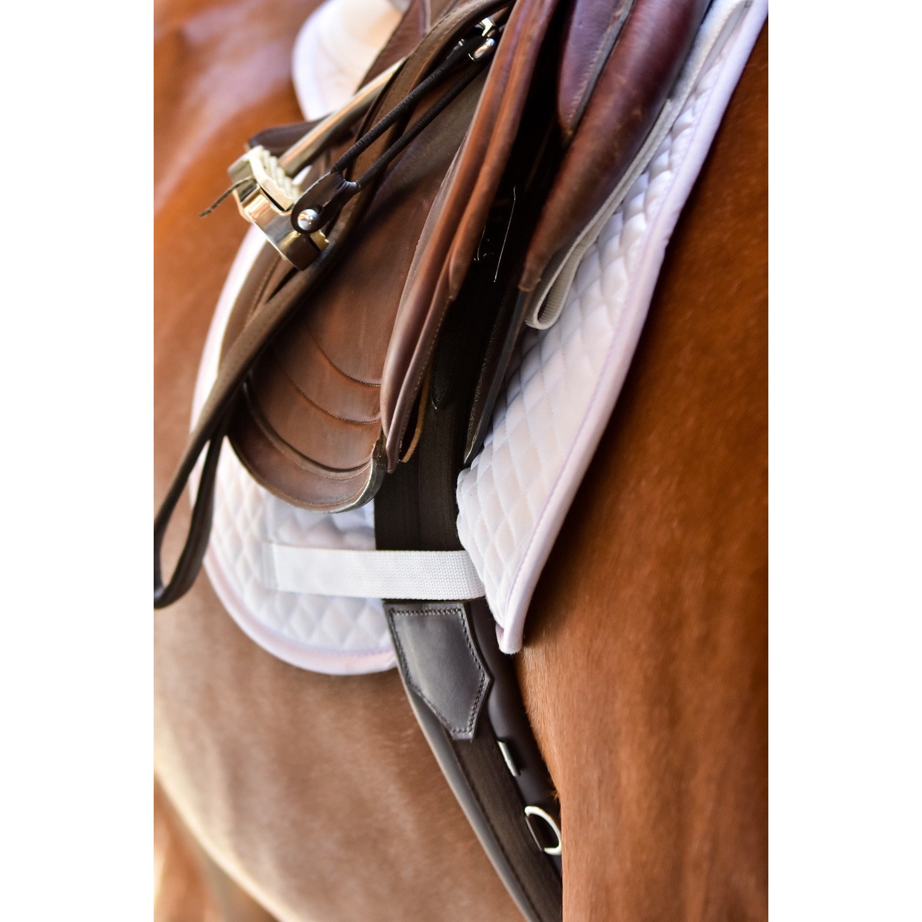 ThinLine Anatomic Hunter Jumper Girth