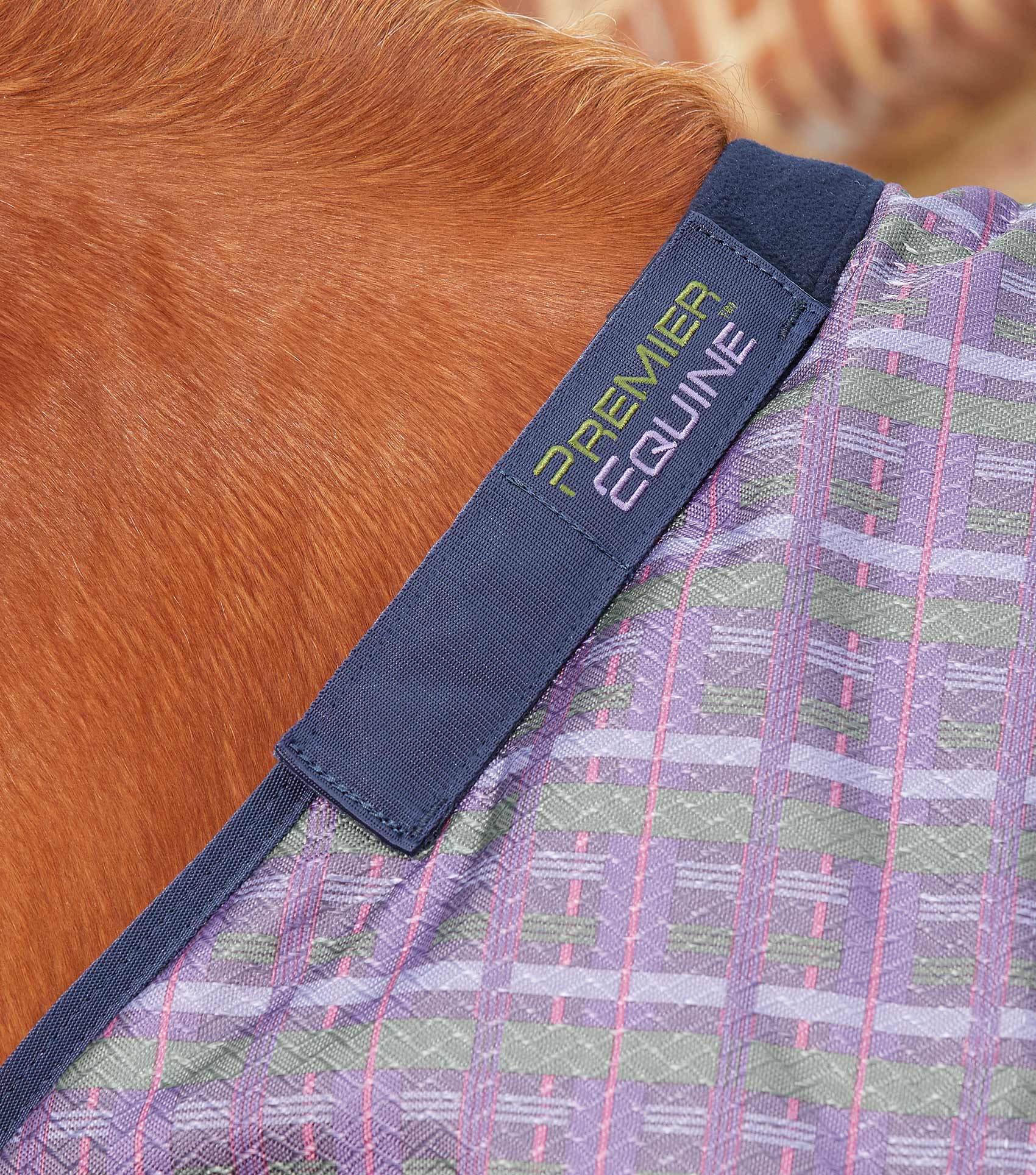 Tybalt Stratus 450g Turnout Rug with Neck Cover Horse By Horse