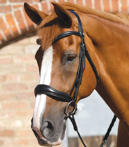 小物 FULL GRAIN BRIDLE / BYRNE 5 Leather Bridle w/White Stitching,