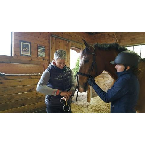 Bit/Bridle Fitting Telephone Consultation