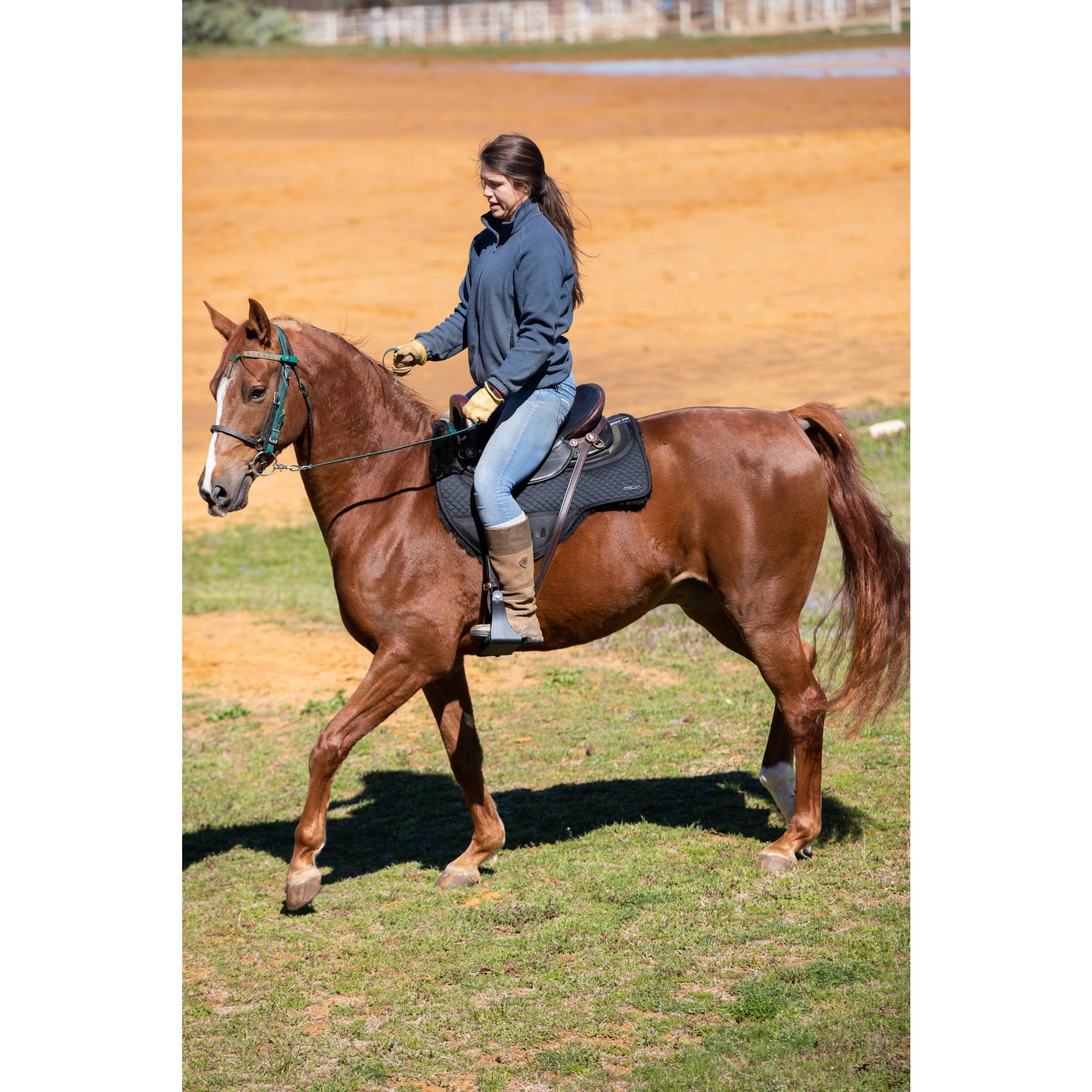 Endurance Drop Rigging Saddle Pad – BDNE