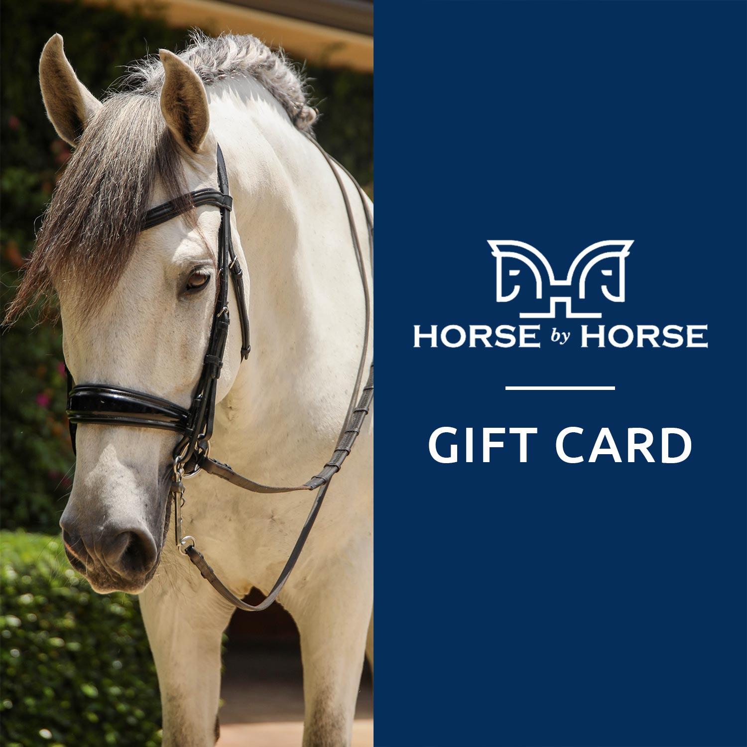 Horse By Horse Gift Card